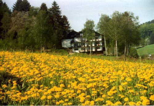 Hotel Birkenhof Wald-Michelbach Exteriér fotografie