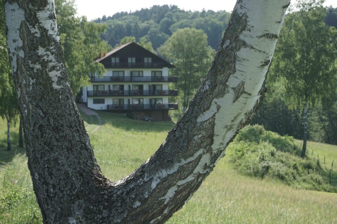 Hotel Birkenhof Wald-Michelbach Exteriér fotografie