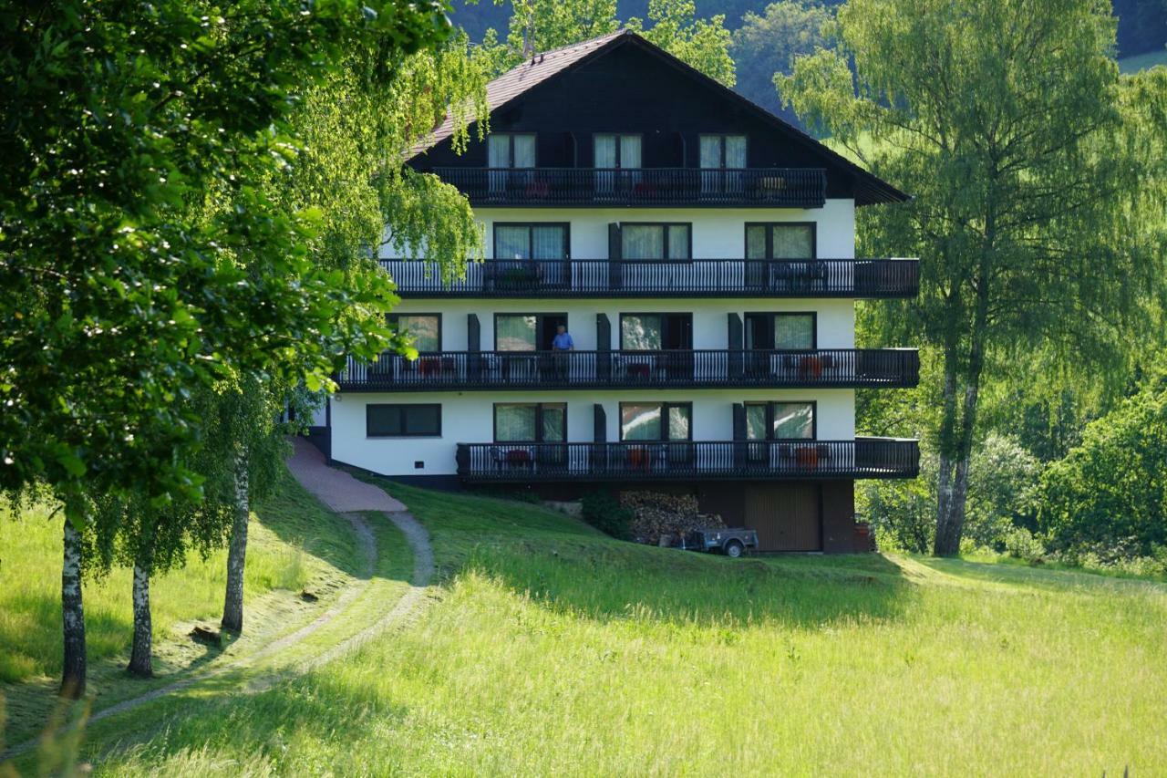 Hotel Birkenhof Wald-Michelbach Exteriér fotografie