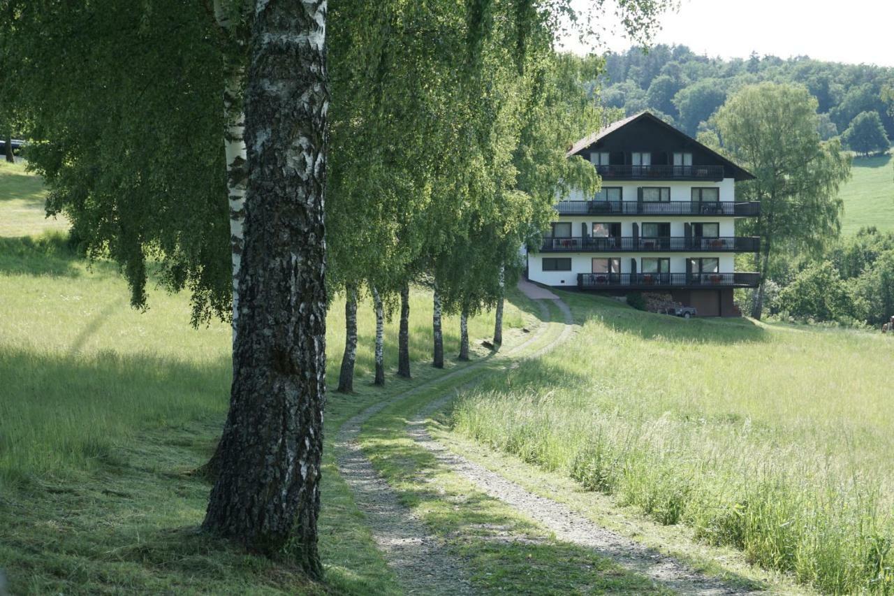 Hotel Birkenhof Wald-Michelbach Exteriér fotografie
